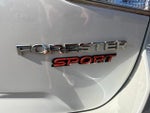 2021 Forester Thumbnail 10