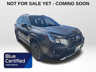 2023 Subaru Forester AWD Wilderness 4DR Crossover