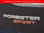 2019 Forester Thumbnail 33