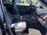 2019 Forester Thumbnail 28