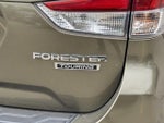 2022 Forester Thumbnail 6