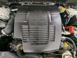 2019 Forester Thumbnail 12