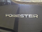 2019 Forester Thumbnail 30