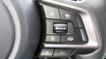 2020 Forester Thumbnail 24