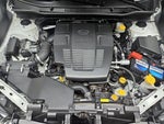 2019 Forester Thumbnail 23