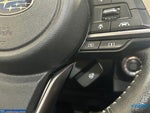 2019 Forester Thumbnail 32
