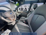 2025 Forester Thumbnail 10