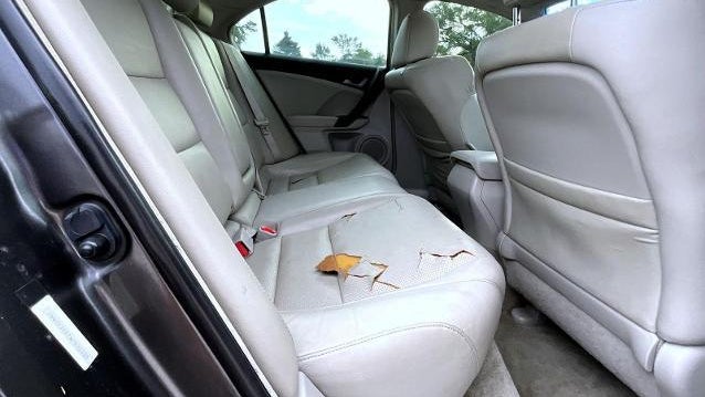 2010 Acura TSX w/Tech