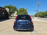 2010 CR-V Thumbnail 6