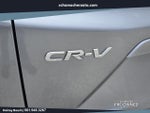 2019 CR-V Thumbnail 10