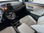 2019 CR-V Thumbnail 10