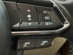 2023 CX-9 Thumbnail 19