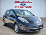 2012 Leaf Thumbnail 2
