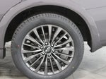 2024 QX80 Thumbnail 18