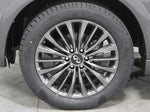 2024 QX80 Thumbnail 19
