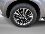 2019 QX80 Thumbnail 2