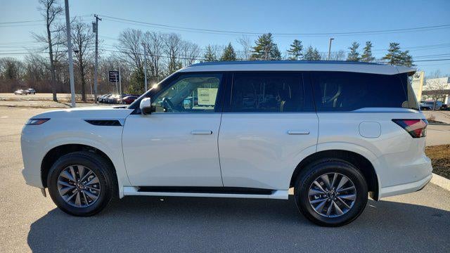 2026 INFINITI QX80 Pure