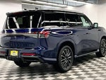 2025 QX80 Thumbnail 14