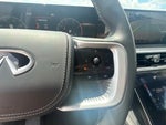 2025 QX80 Thumbnail 19