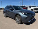 2021 Venza Thumbnail 3