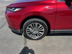 2021 Venza Thumbnail 9