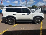 2025 Land Cruiser Thumbnail 6