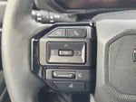 2025 Land Cruiser Thumbnail 20