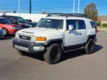 2011 FJ Cruiser Thumbnail 1