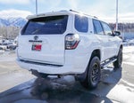 2019 4Runner Thumbnail 7