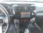 2010 4Runner Thumbnail 19