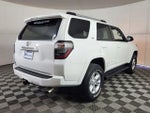 2019 4Runner Thumbnail 7