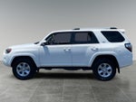 2023 4Runner Thumbnail 2