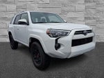 2024 4Runner Thumbnail 2