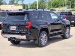 2025 4Runner Thumbnail 6