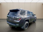 2017 4Runner Thumbnail 15