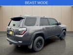 2017 4Runner Thumbnail 3