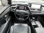 2019 ES 350 Thumbnail 12