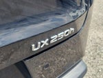2024 UX 250h Thumbnail 8