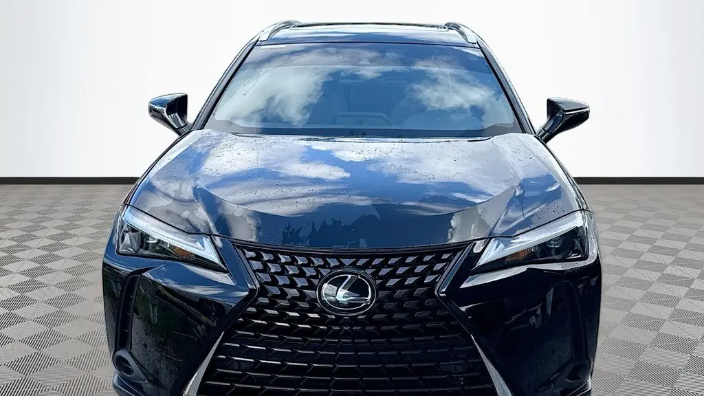 2024 Lexus UX 250h Premium