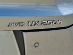 2023 UX 250h Thumbnail 30