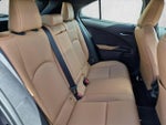 2024 UX 250h Thumbnail 20