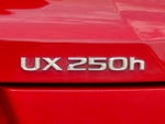2023 UX 250h Thumbnail 11
