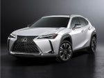2020 UX 250h Thumbnail 1
