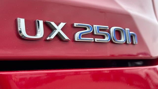 2020 Lexus UX 250h F SPORT