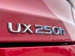 2020 UX 250h Thumbnail 13