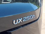 2019 UX 250h Thumbnail 9