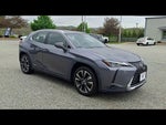 2019 UX 250h Thumbnail 1