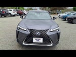 2019 UX 250h Thumbnail 2