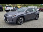 2019 UX 250h Thumbnail 3