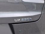 2019 UX 250h Thumbnail 23